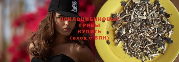 гидра Арсеньев