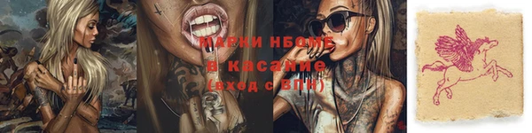 гидра Арсеньев