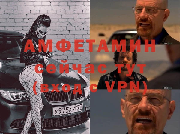 гидра Арсеньев