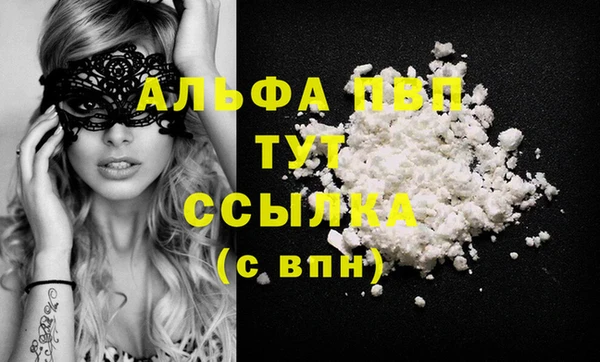 гидра Арсеньев
