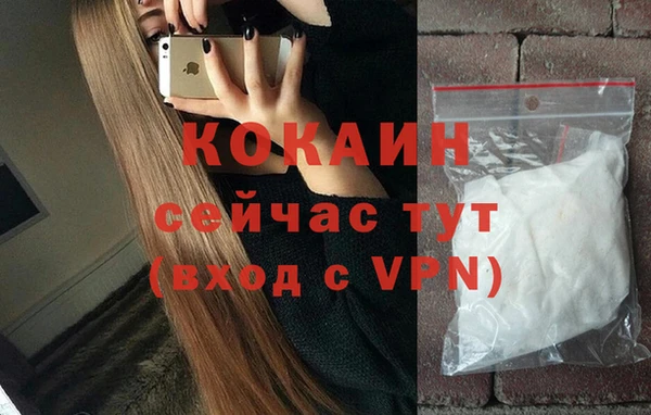 гидра Арсеньев
