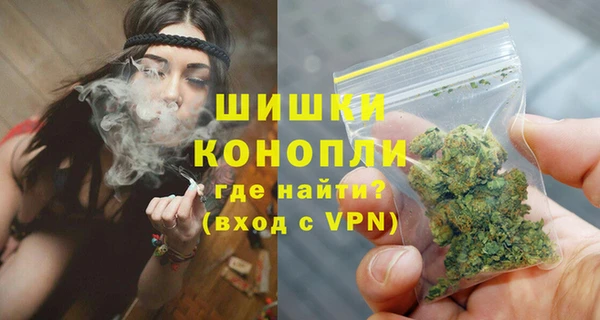 гидра Арсеньев