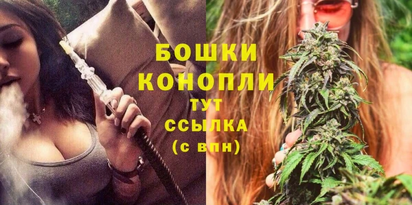 гидра Арсеньев