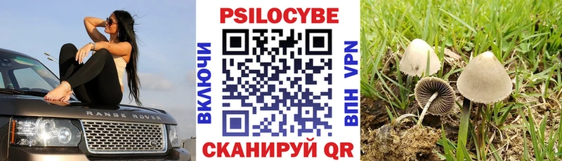 Псилоцибиновые грибы GOLDEN TEACHER  Кукмор 